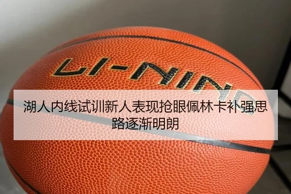 湖人内线试训新人表现抢眼佩林卡补强思路逐渐明朗