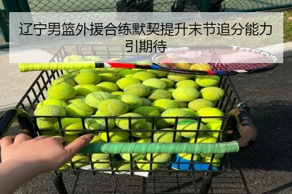 辽宁男篮外援合练默契提升末节追分能力引期待